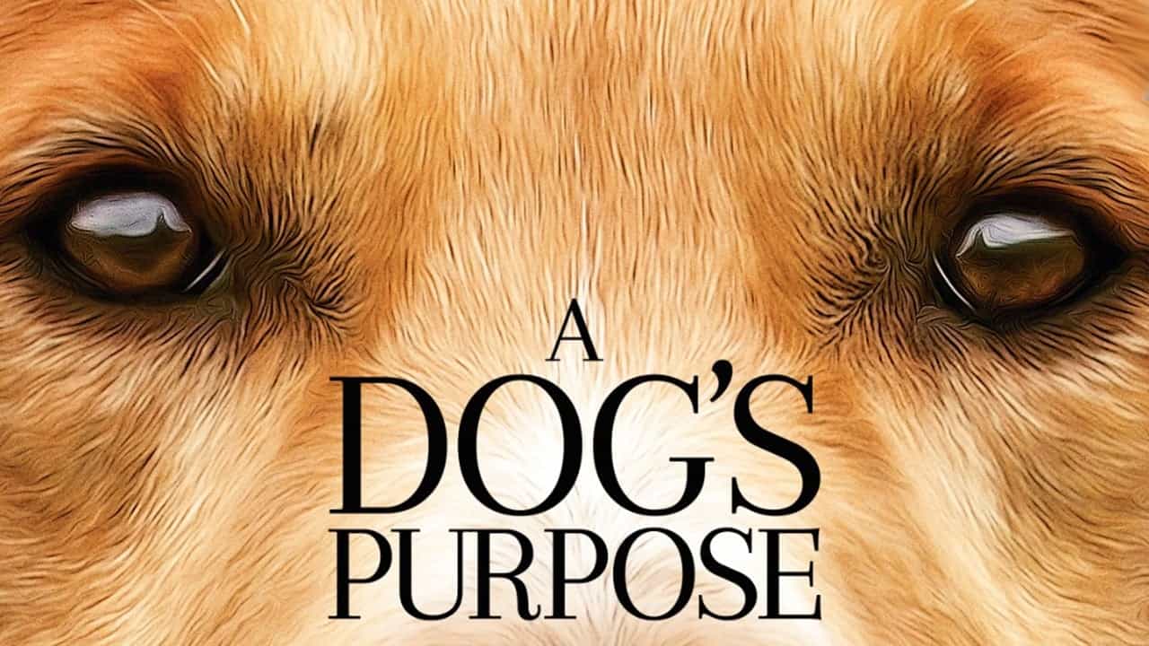دانلود فیلم A Dog's Purpose 2017