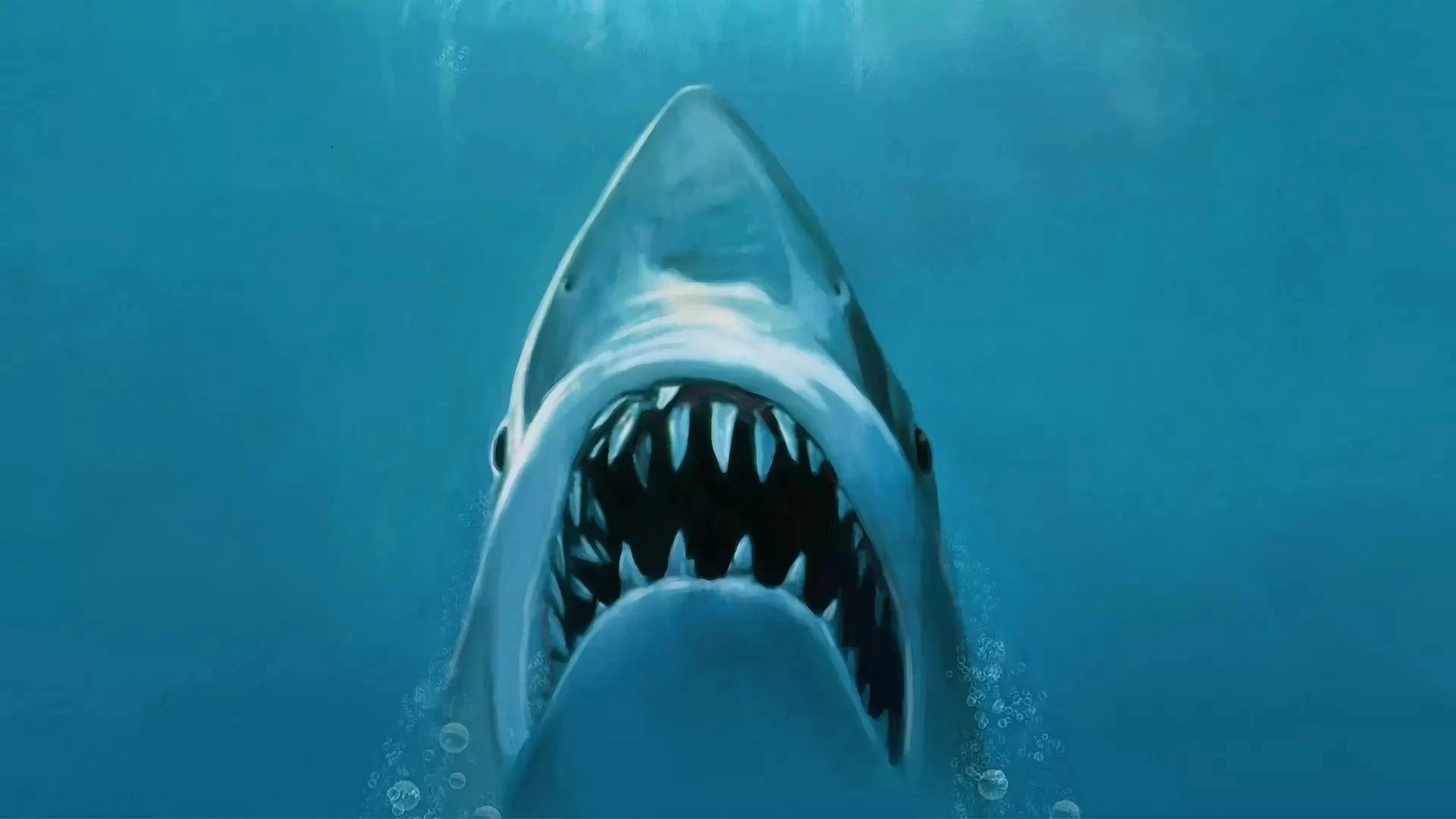 Jaws