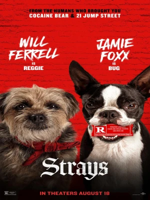 دانلود انیمیشن Strays