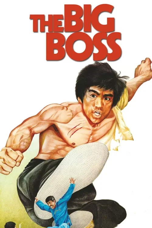 دانلود فیلم The Big Boss