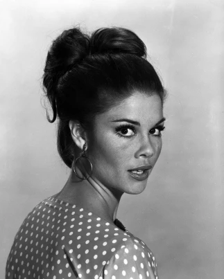Wende Wagner