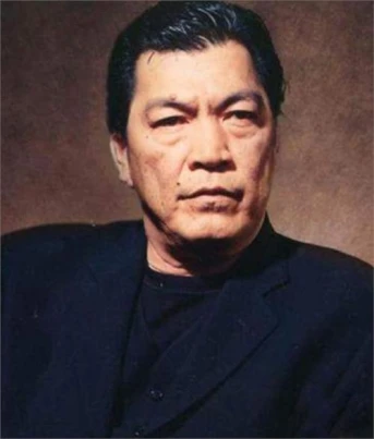 Shing Fui-On
