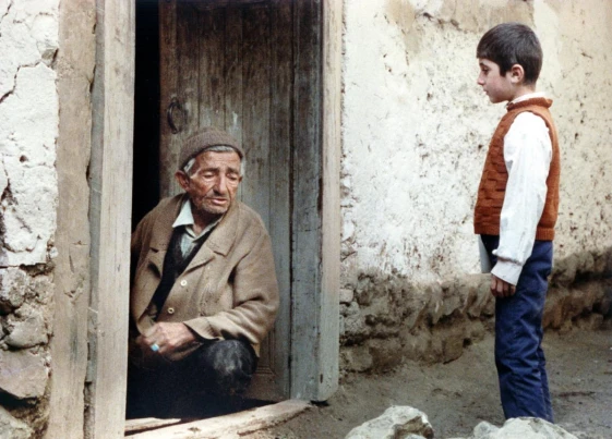 Babek Ahmedpoor