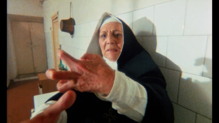 Alba Maiolini