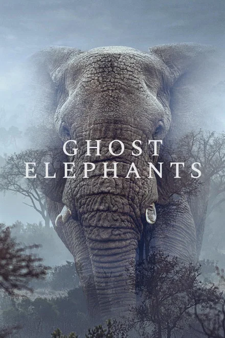 دانلود فیلم Ghost Elephants