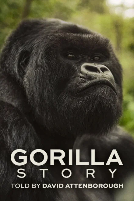 دانلود فیلم A Gorilla Story: Told by David Attenborough