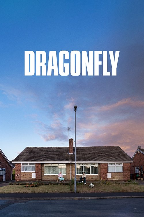 دانلود فیلم Dragonfly