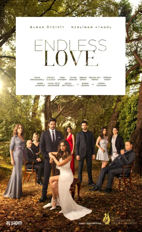 دانلود سریال Endless Love