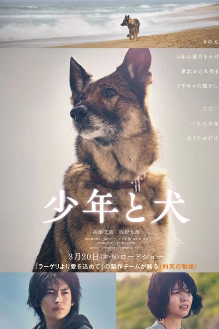 دانلود فیلم The Boy and the Dog
